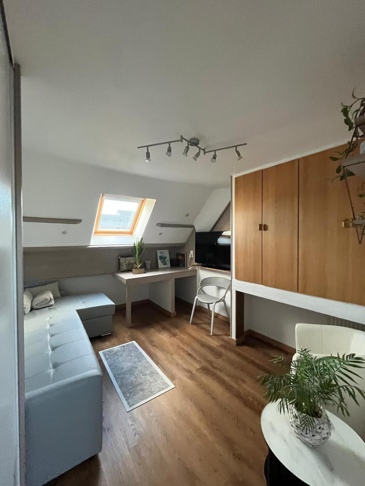 Appartement Type Loft Avec Terrasse Cherbourg-en-Cotentin Exteriér fotografie
